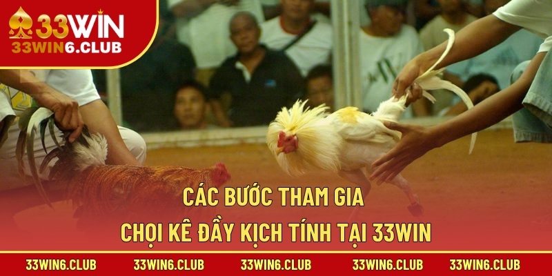 Các bước tham gia chọi kê đầy kịch tính tại 33win