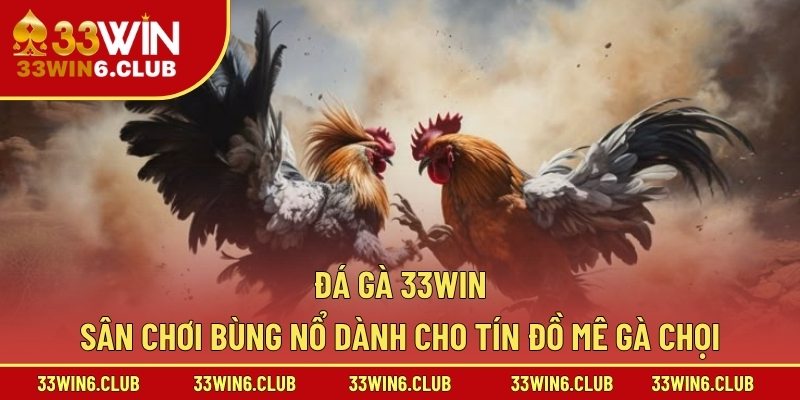 Đá gà 33win – Sân chơi bùng nổ dành cho tín đồ mê gà chọi