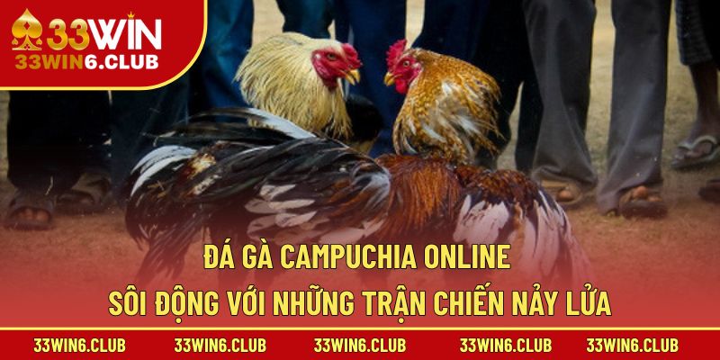 Đá Gà Campuchia Online – Sôi Động Với Những Trận Chiến Nảy Lửa
