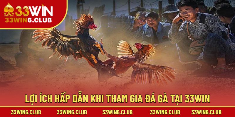 Lợi ích hấp dẫn khi tham gia đá gà tại 33win