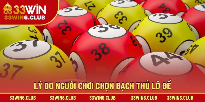 Lý do người chơi chọn bạch thủ lô đề