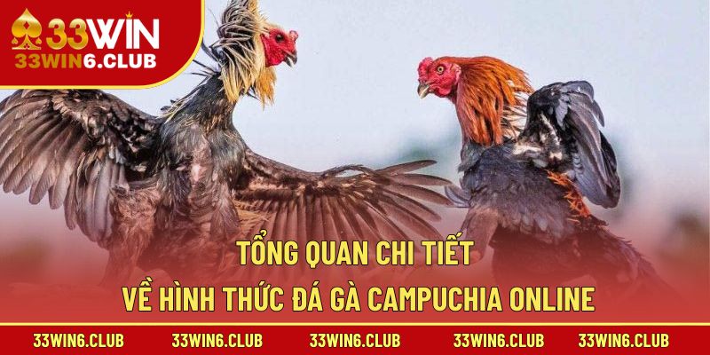 Tổng quan chi tiết về hình thức đá gà Campuchia online